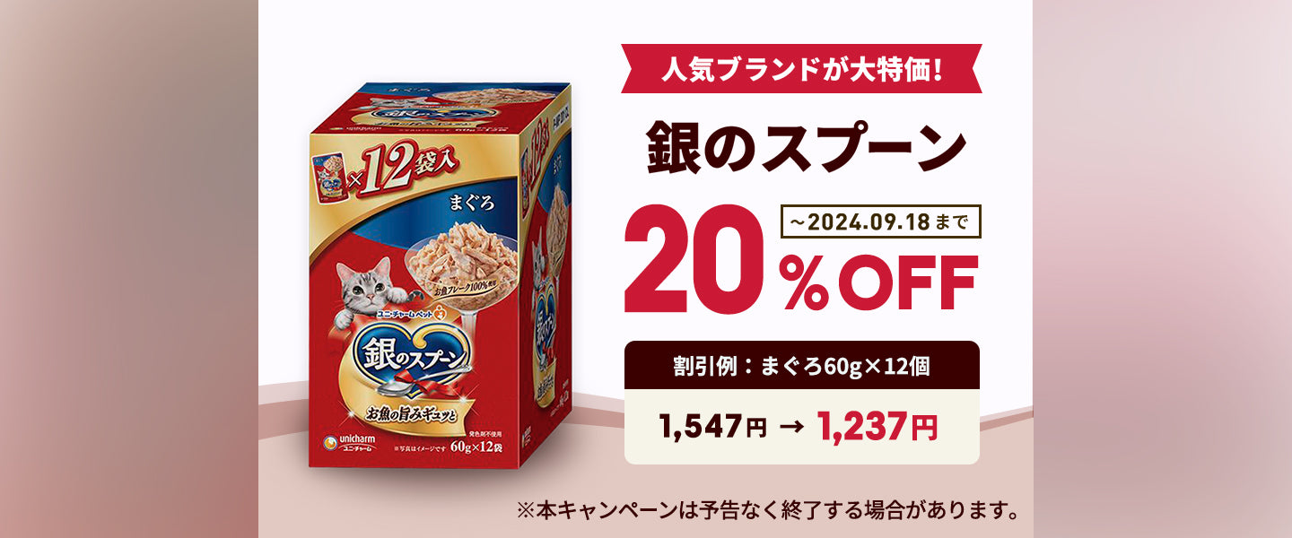 銀のスプーン20%OFF