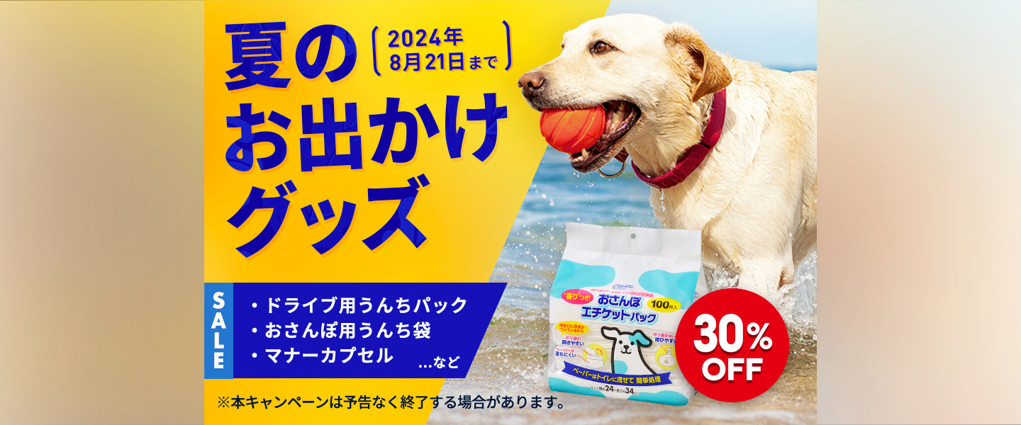 夏のお出かけグッズキャンペーン