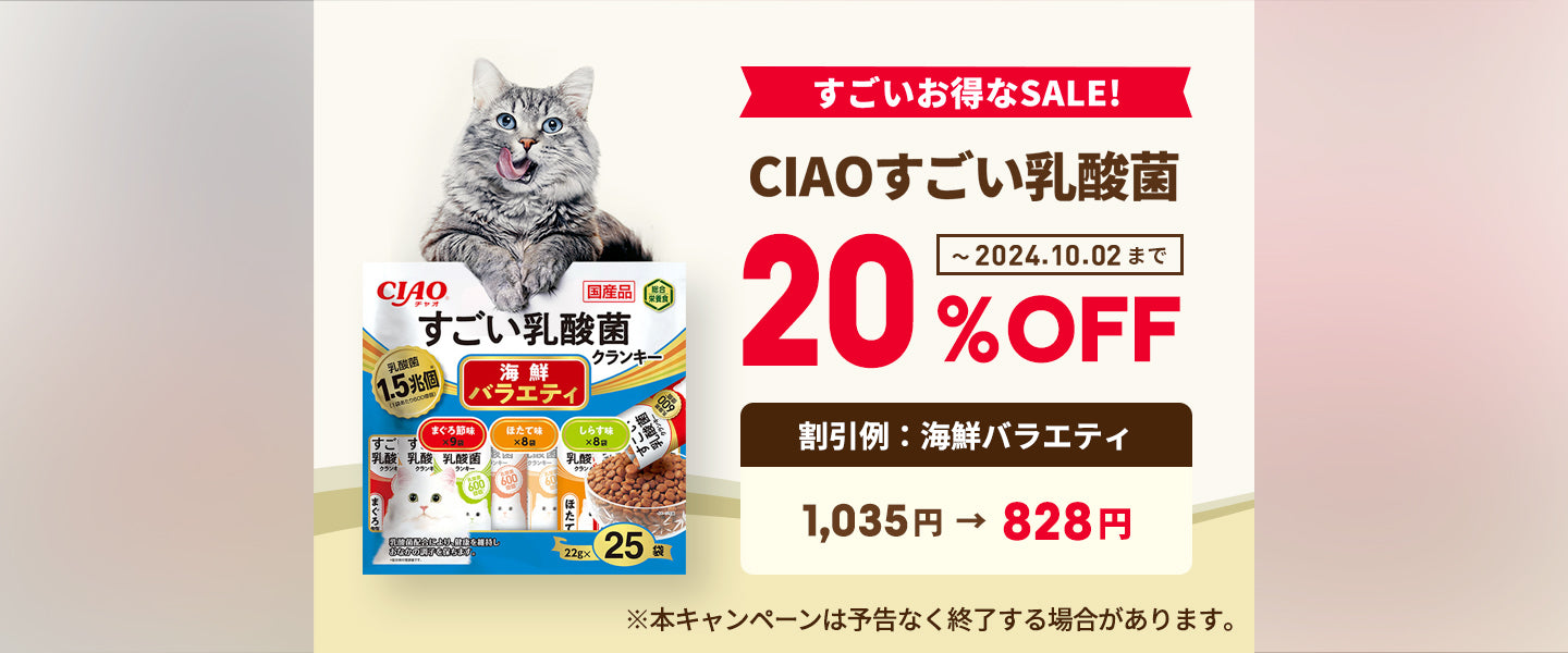 CIAOすごい乳酸菌20%OFF