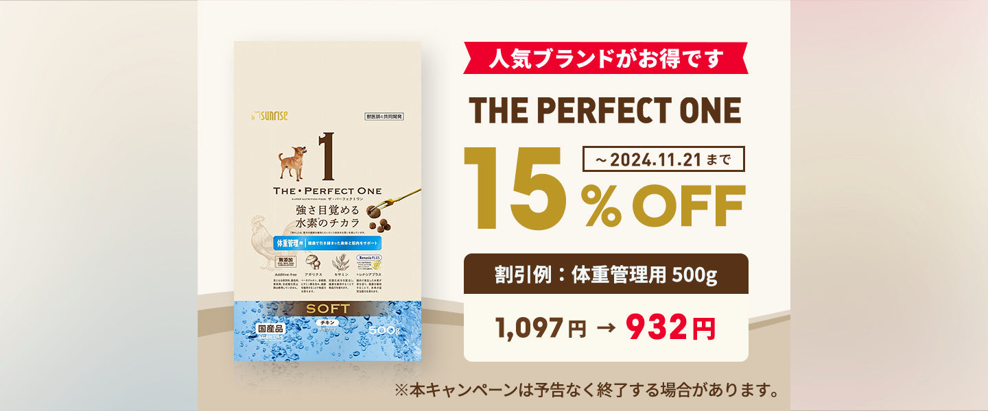 THE PERFECT ONE 15%OFF