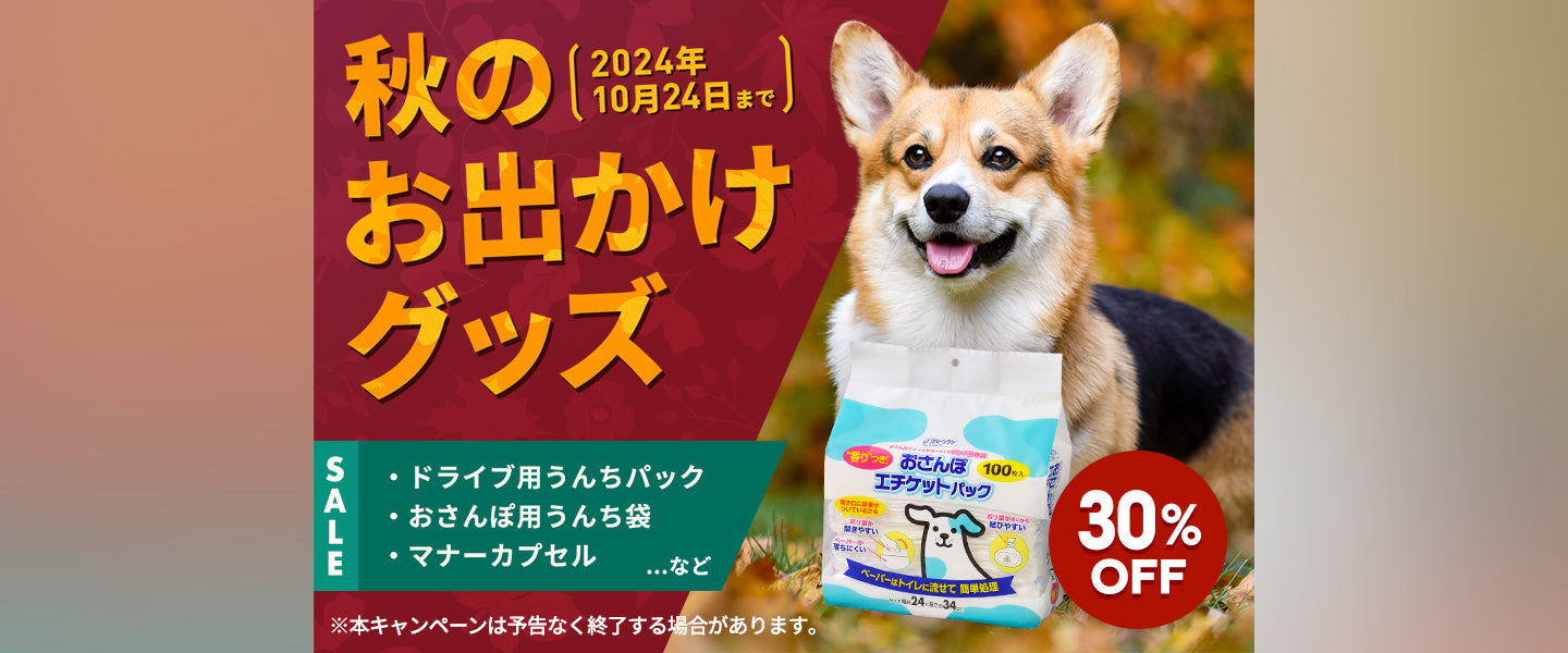 お出かけグッズ30%OFF
