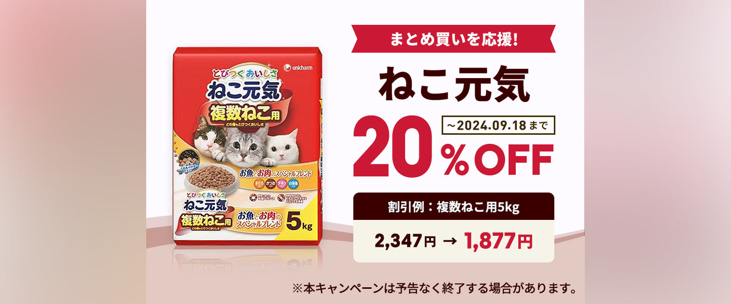 ねこ元気20%OFF