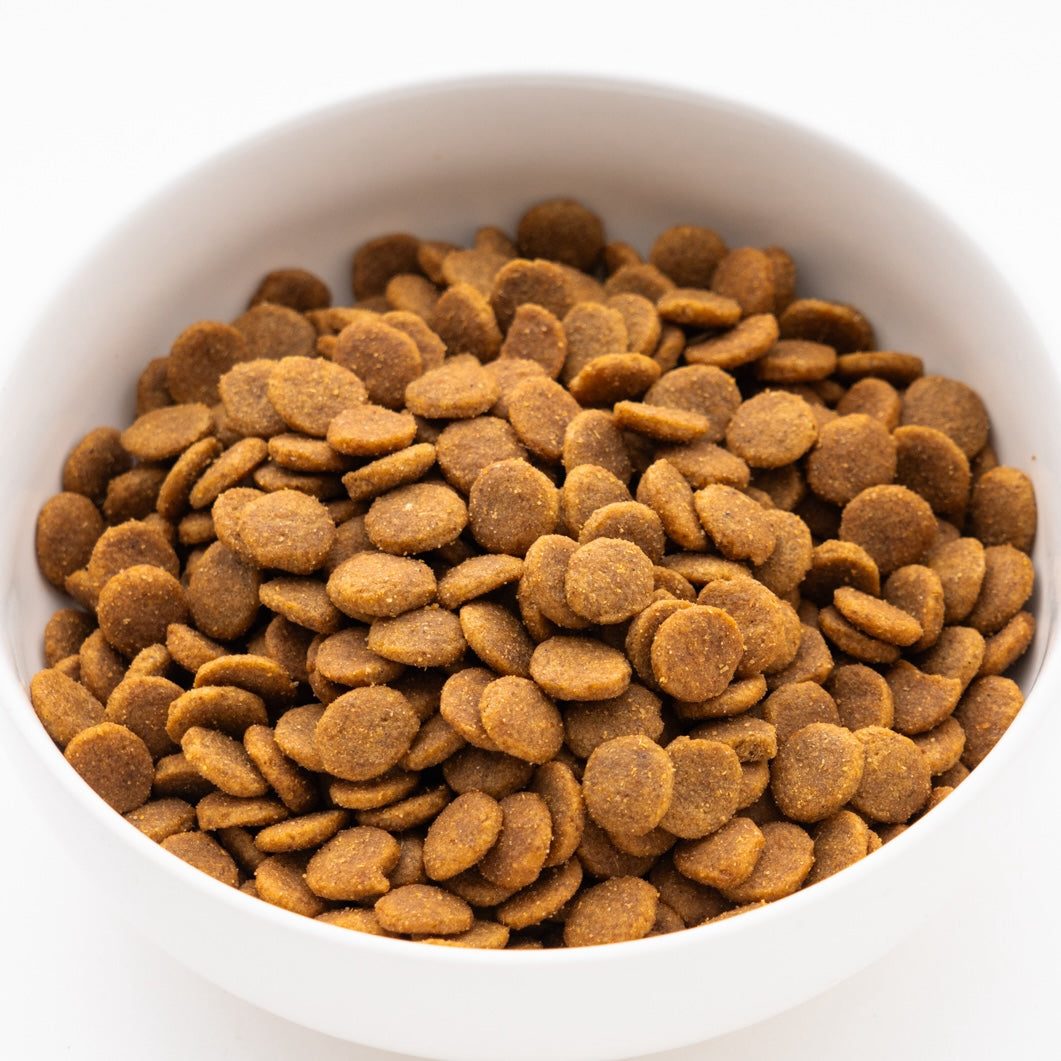 アイムス 成犬用 健康維持用 チキン 小粒 5kg