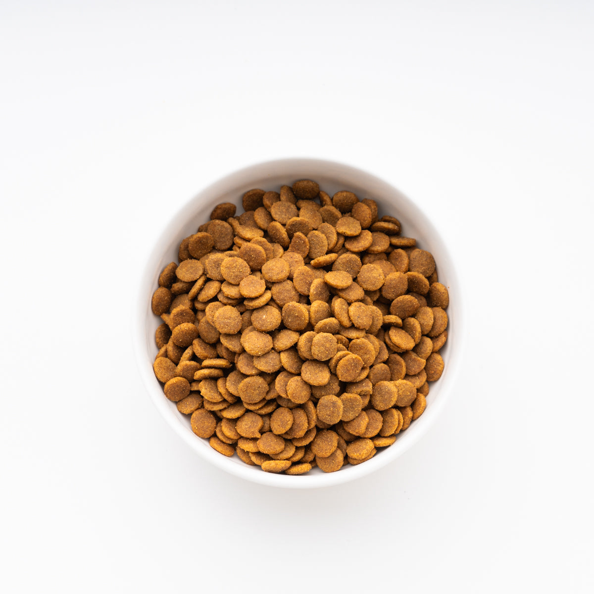 アイムス 成犬用 健康維持用 チキン 小粒 5kg