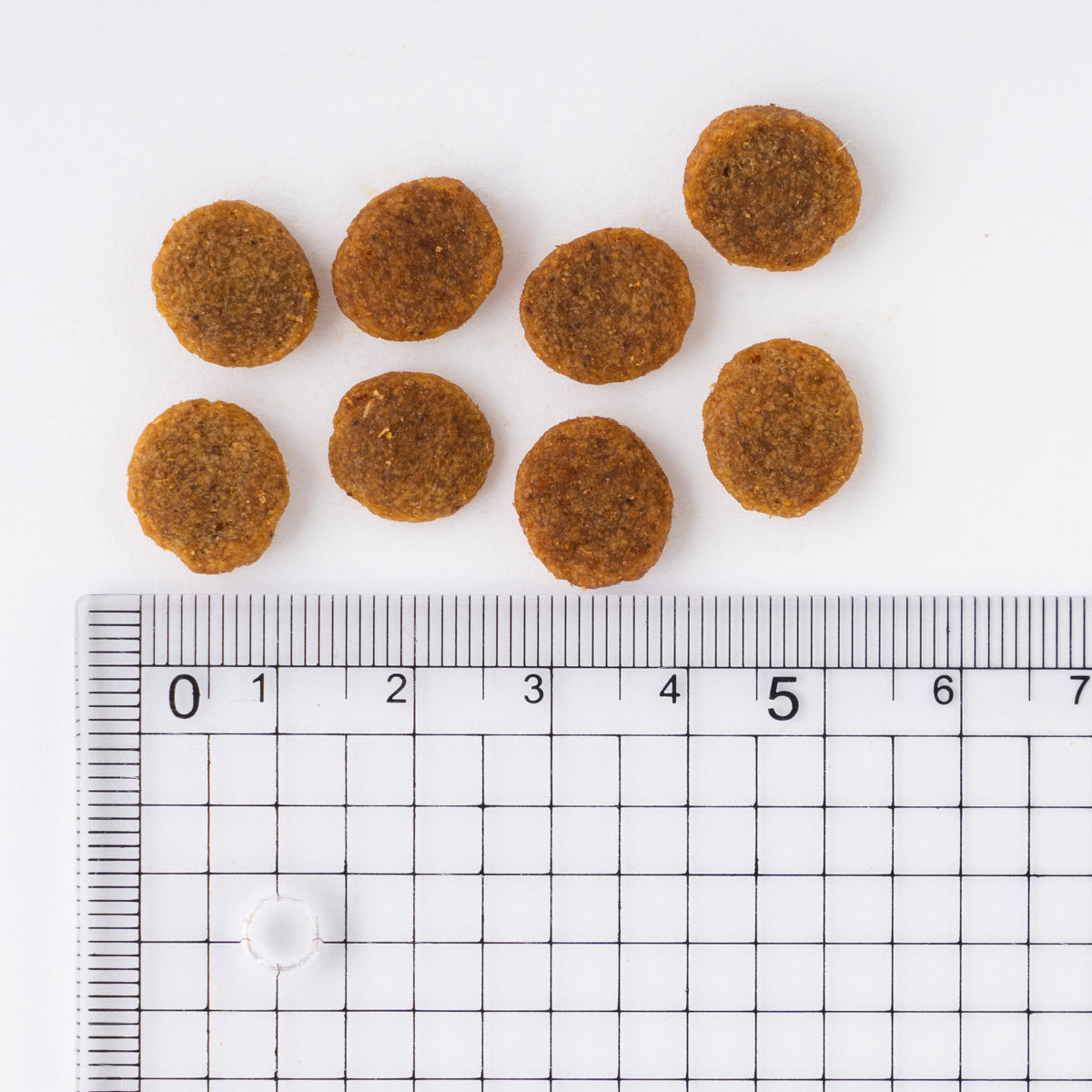 アイムス 成犬用 健康維持用 チキン 小粒 5kg