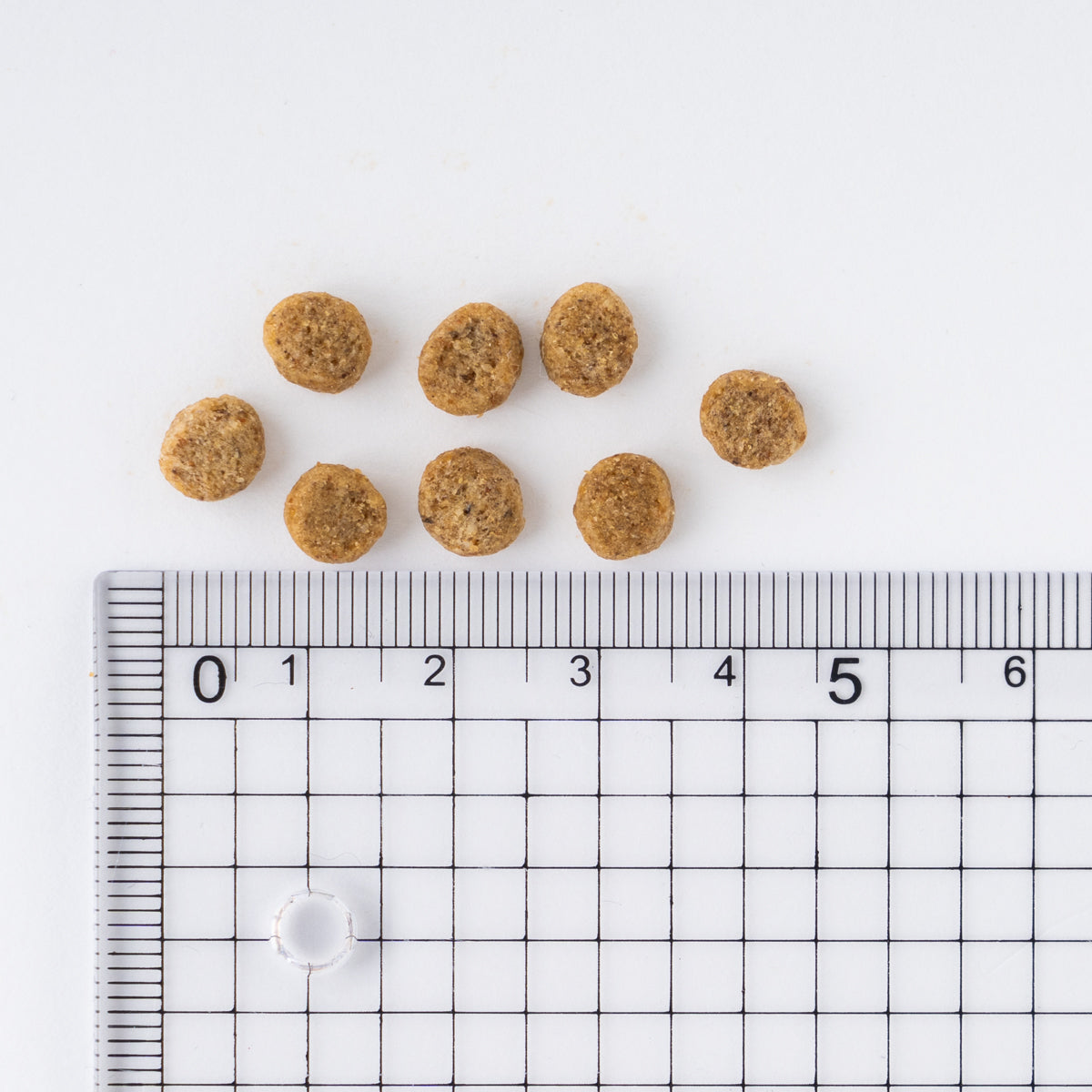 サイエンス・ダイエット 小型犬 シニアライト 3kg