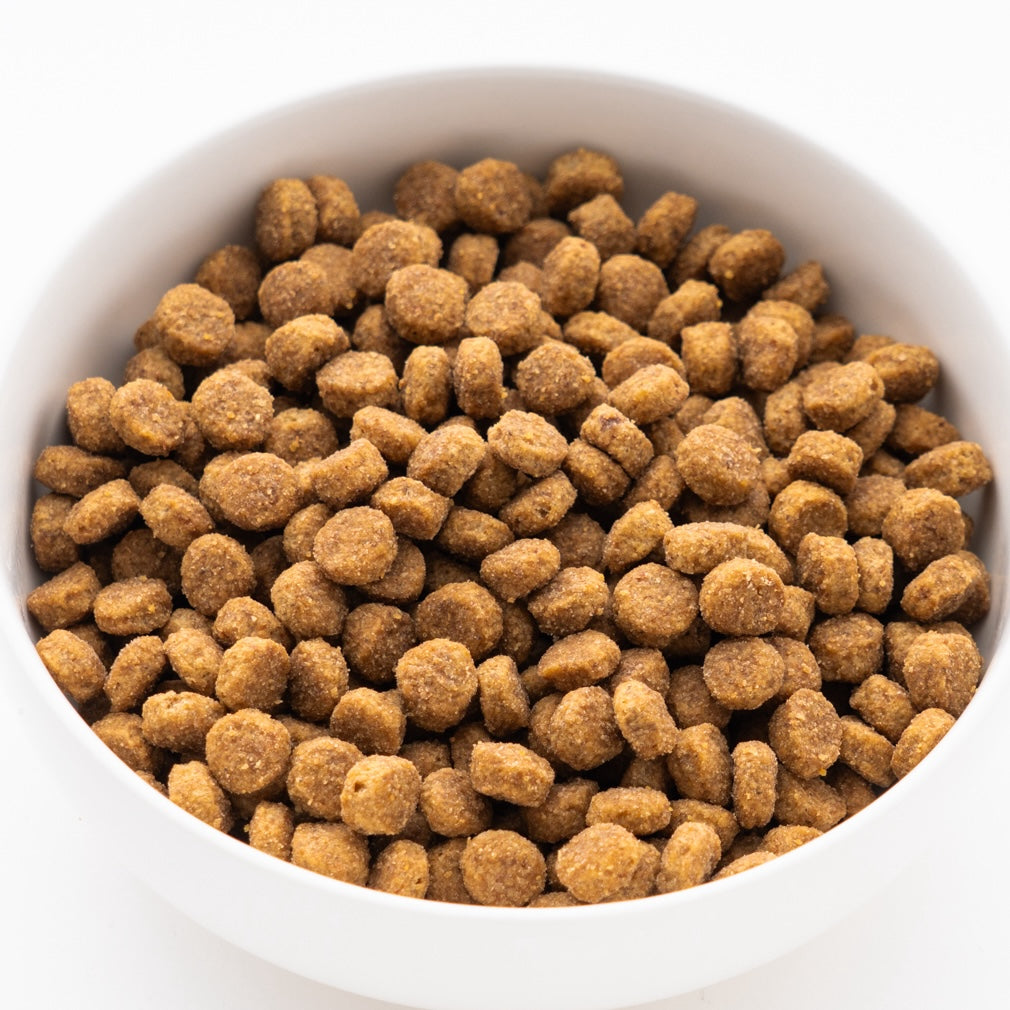 サイエンス・ダイエット シニア 小粒 高齢犬用 3.3kg