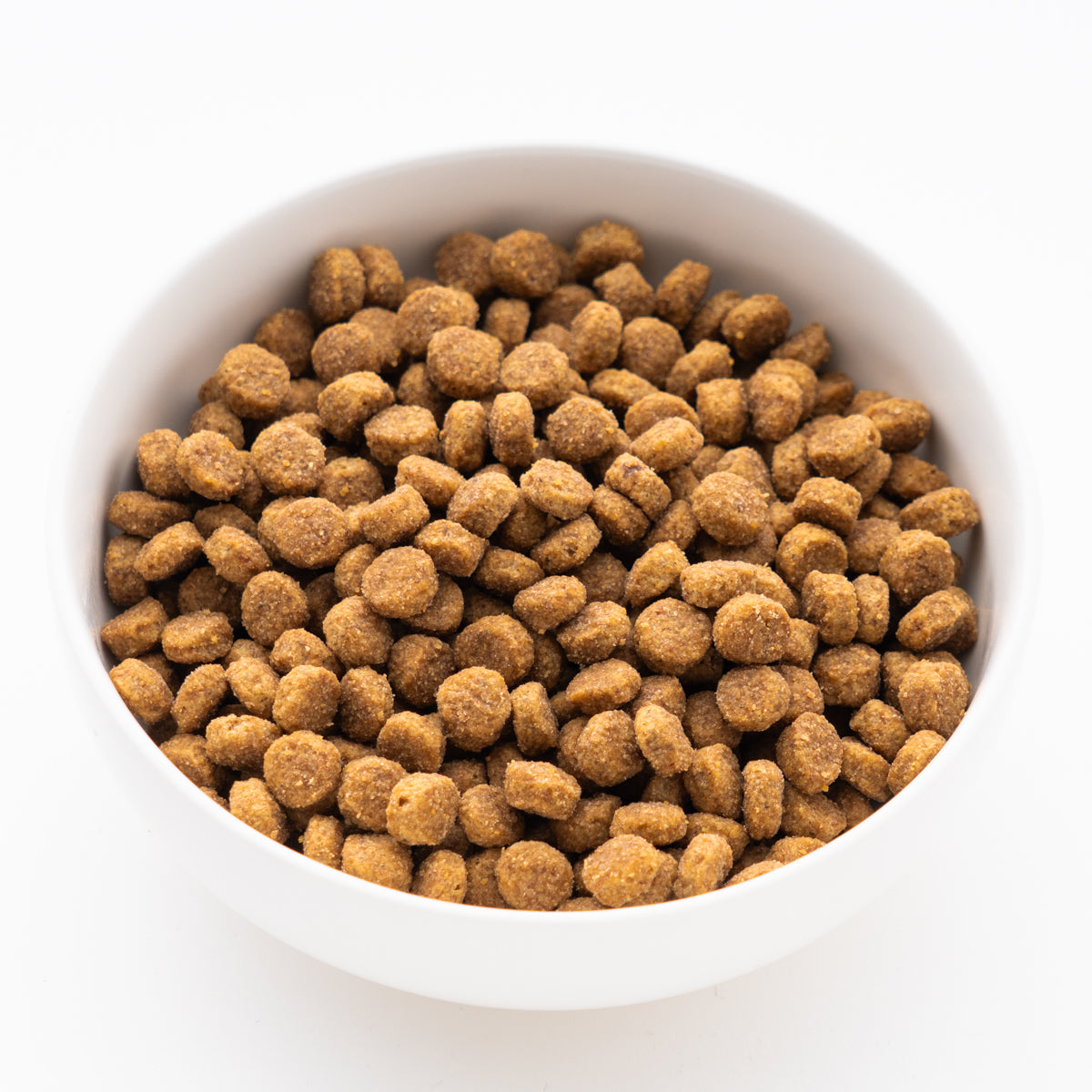 サイエンス・ダイエット シニア 小粒 高齢犬用 6.5kg