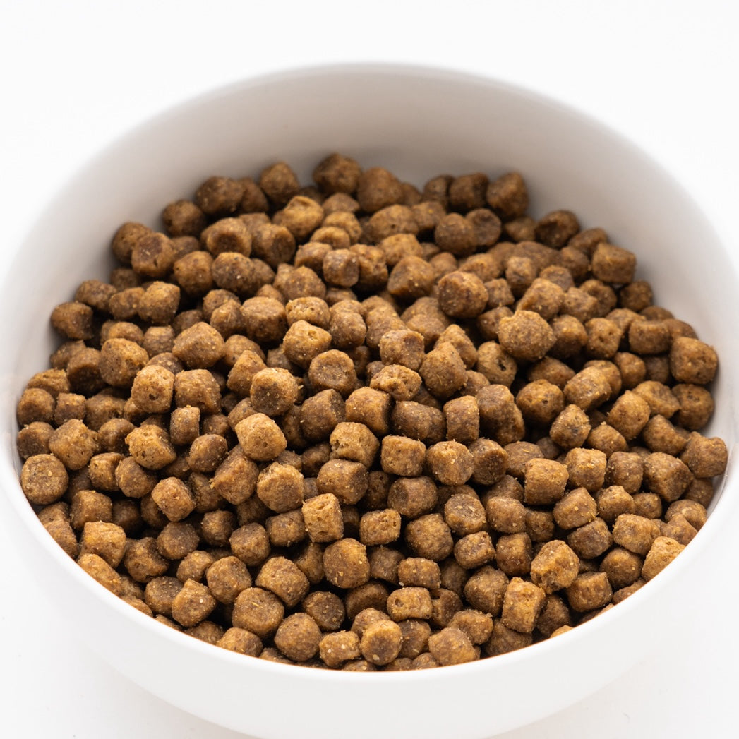 サイエンス・ダイエット シニアプラス 小粒 高齢犬用 3.3kg