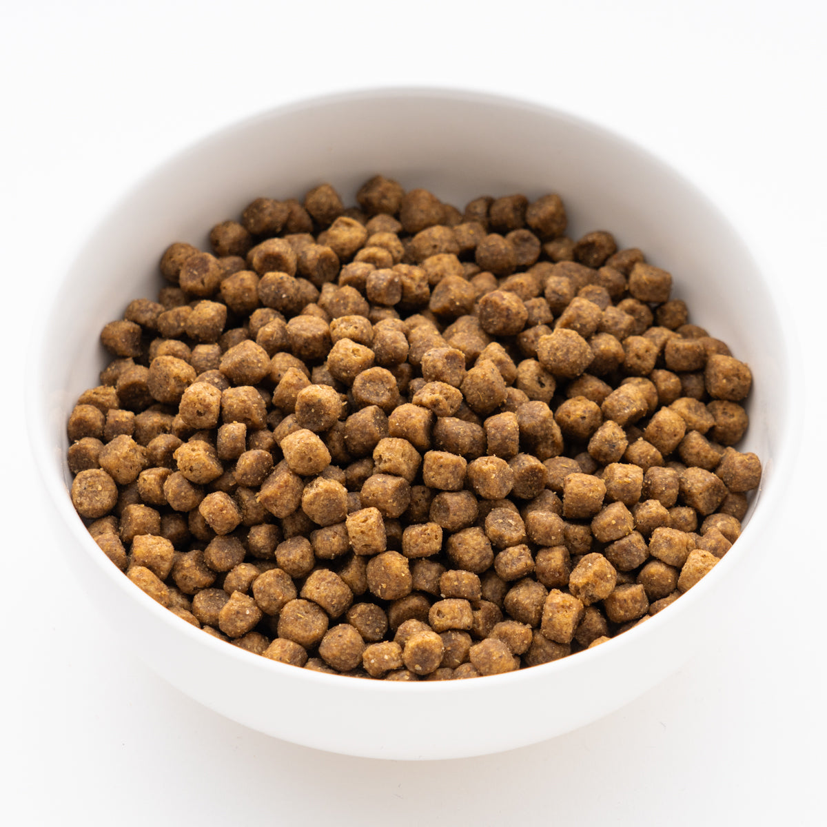 サイエンス・ダイエット シニアプラス 小粒高齢犬用 6.5kg