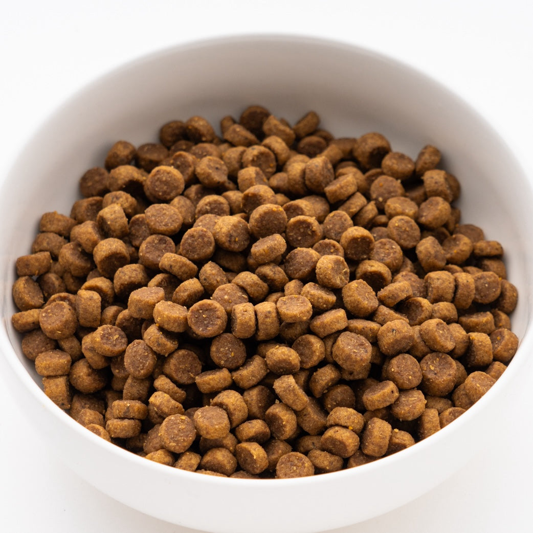 サイエンス・ダイエット パピー 小粒 子いぬ用 6.5kg