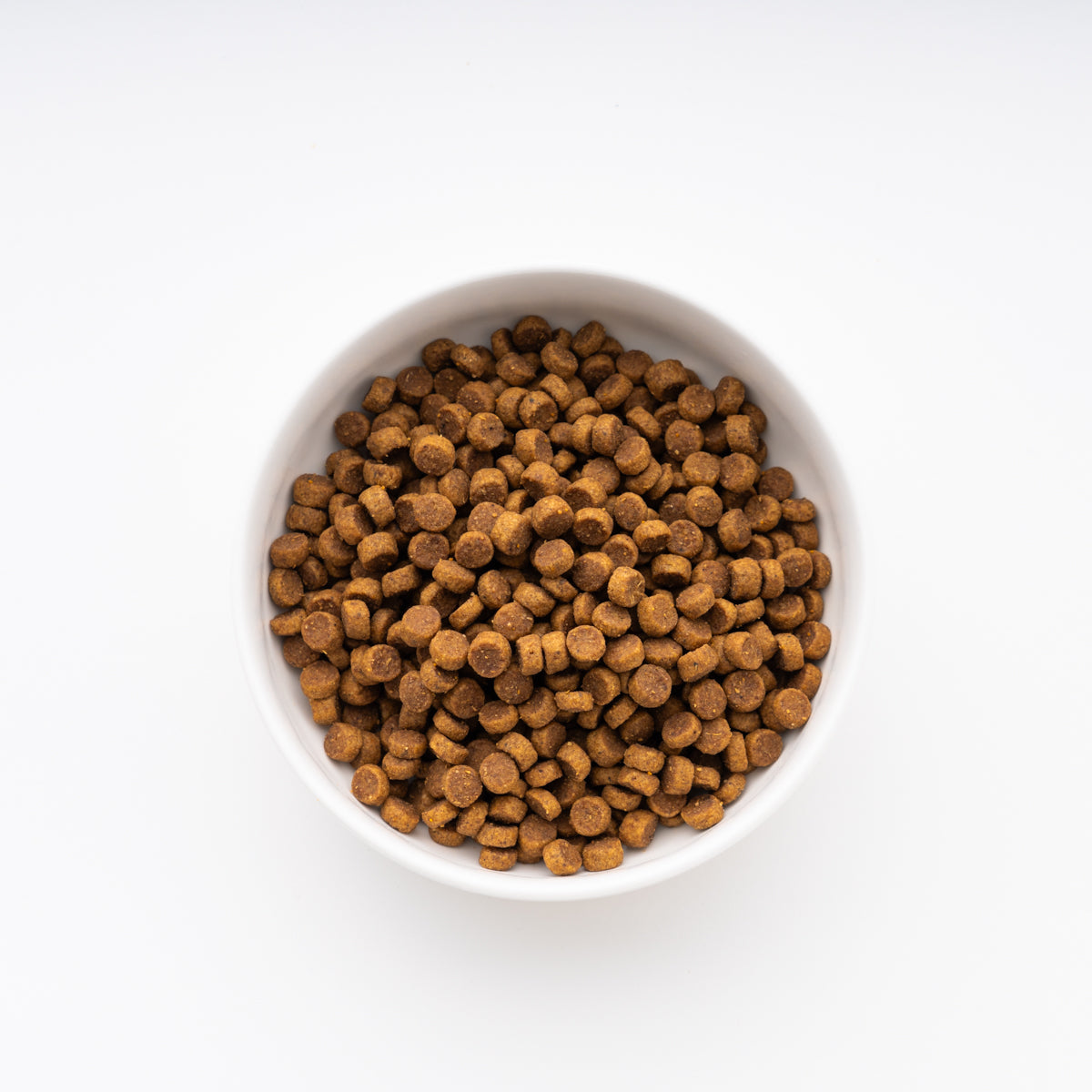 サイエンス・ダイエット パピー 小粒 子いぬ用 6.5kg