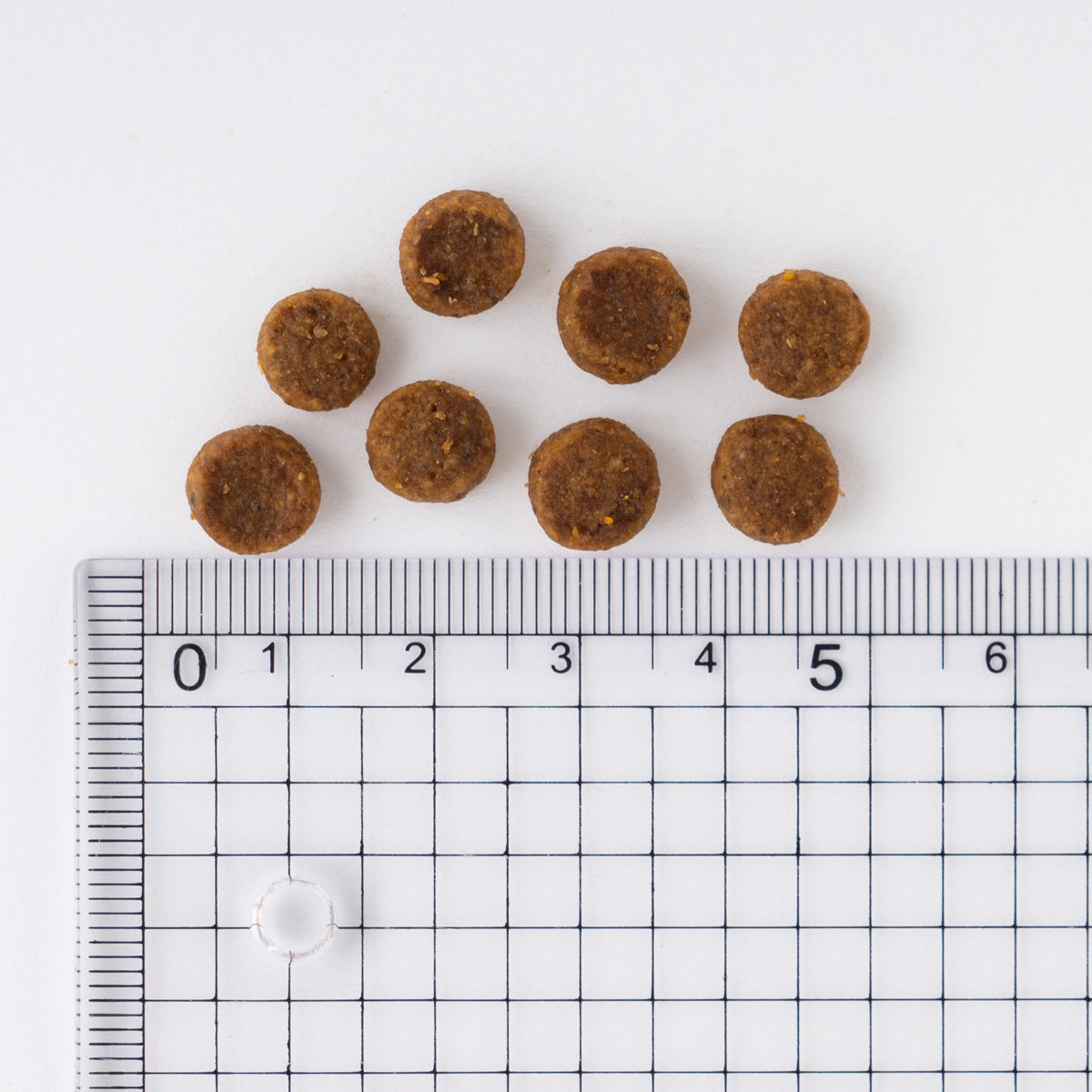 サイエンス・ダイエット パピー 小粒 子いぬ用 6.5kg