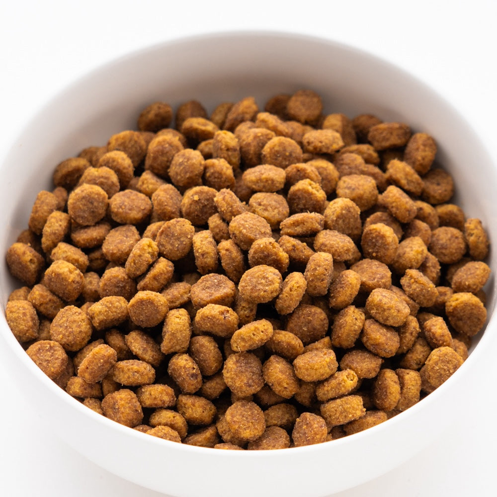 サイエンス・ダイエット アダルト 小粒 成犬用 1.4kg