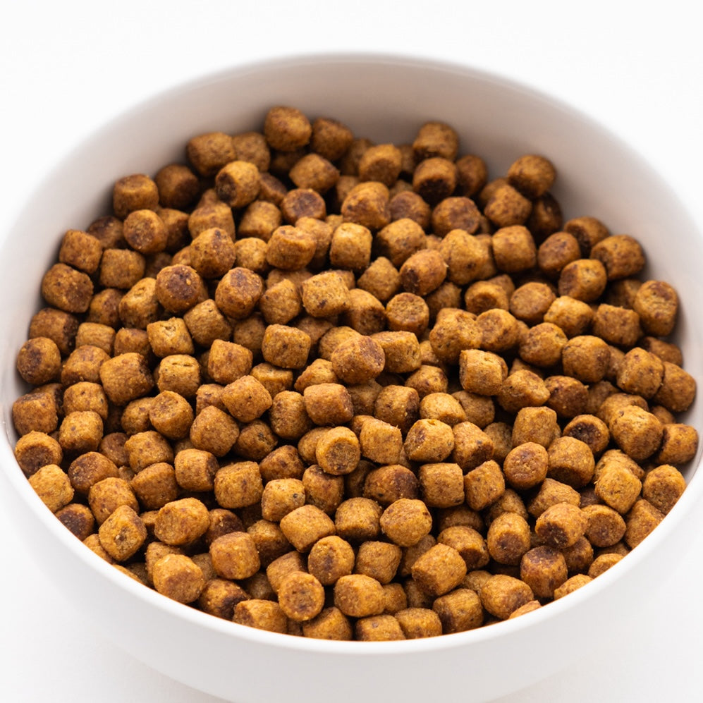 サイエンス・ダイエット ライト 小粒 肥満傾向の成犬用 1.4kg