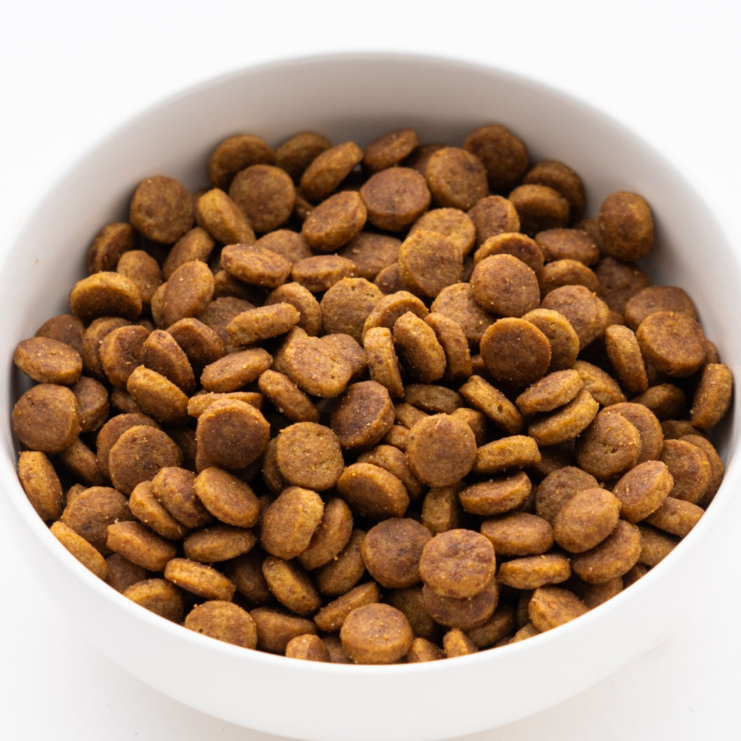 サイエンス・ダイエットPRO 犬用 シニアトータルケア機能 中粒 7歳以上 1.5kg