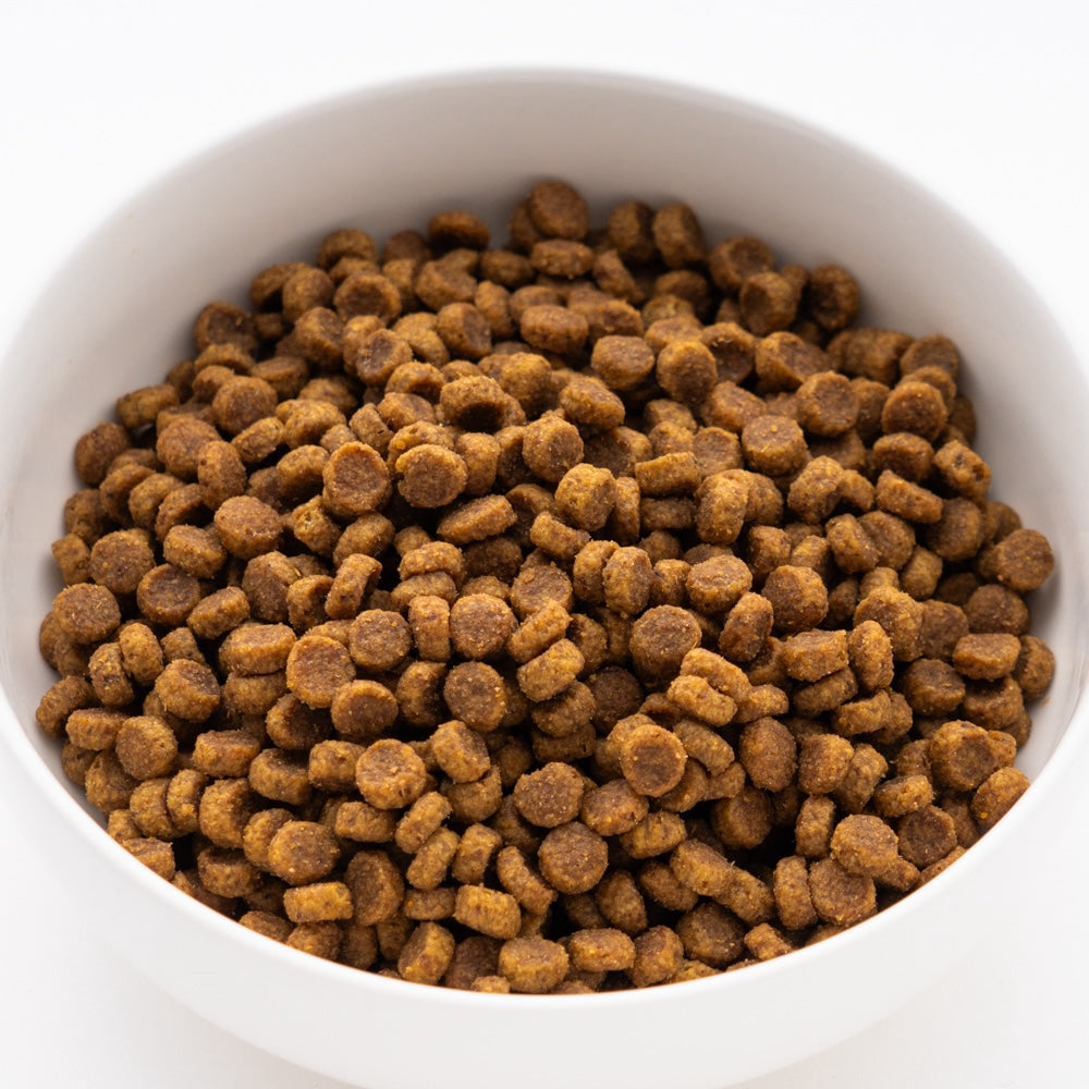 サイエンス・ダイエット アダルト ラム&ライス 小型犬用 成犬用 750g