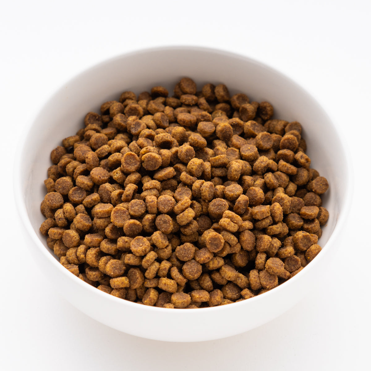 サイエンス・ダイエット アダルト ラム&ライス 小型犬用 成犬用 1.5kg