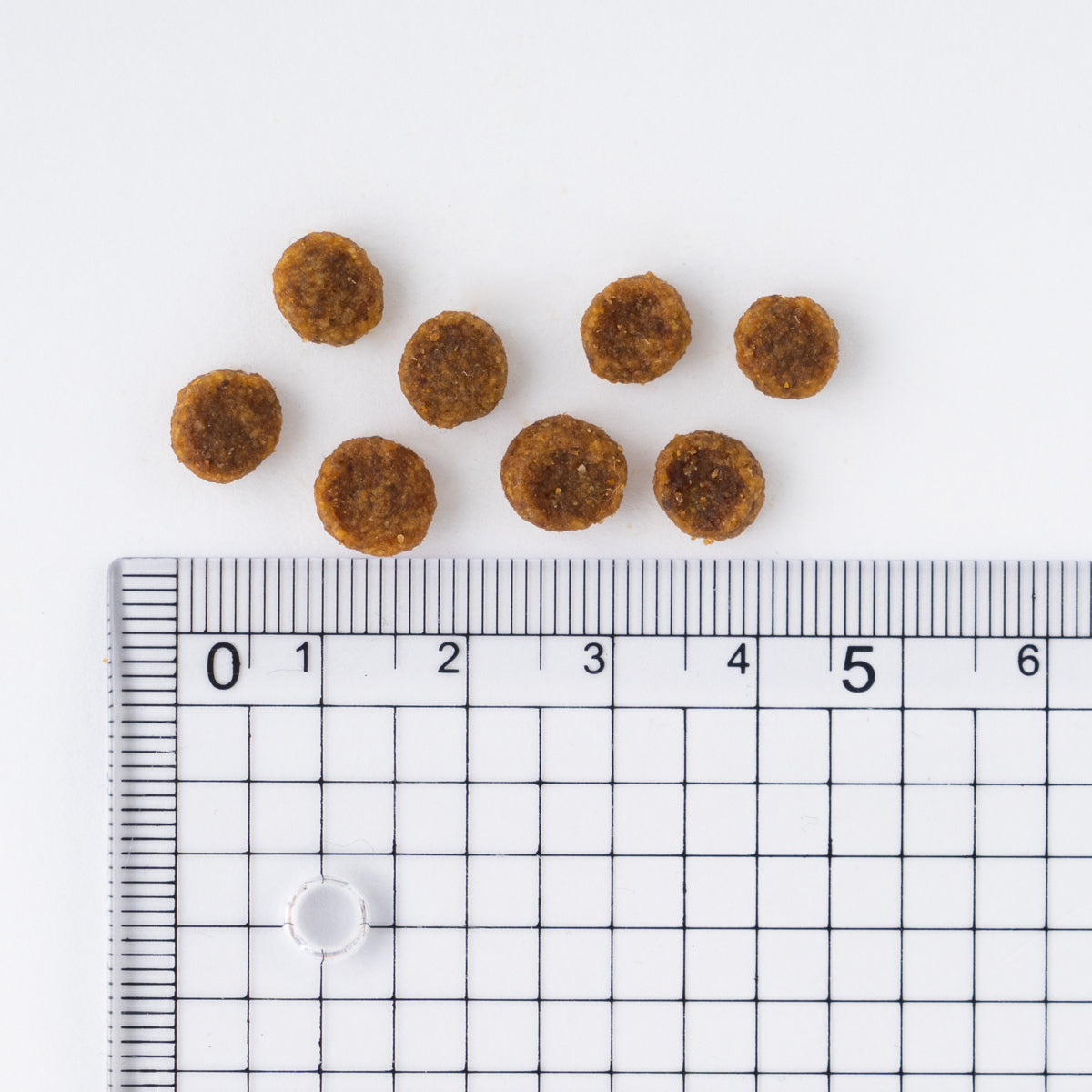 サイエンス・ダイエット アダルト ラム&ライス 小型犬用 成犬用 1.5kg