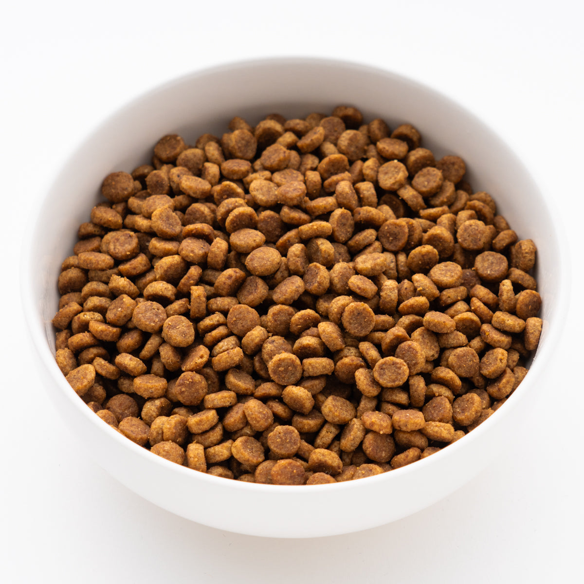 サイエンス・ダイエット 小型犬 アダルト 3kg