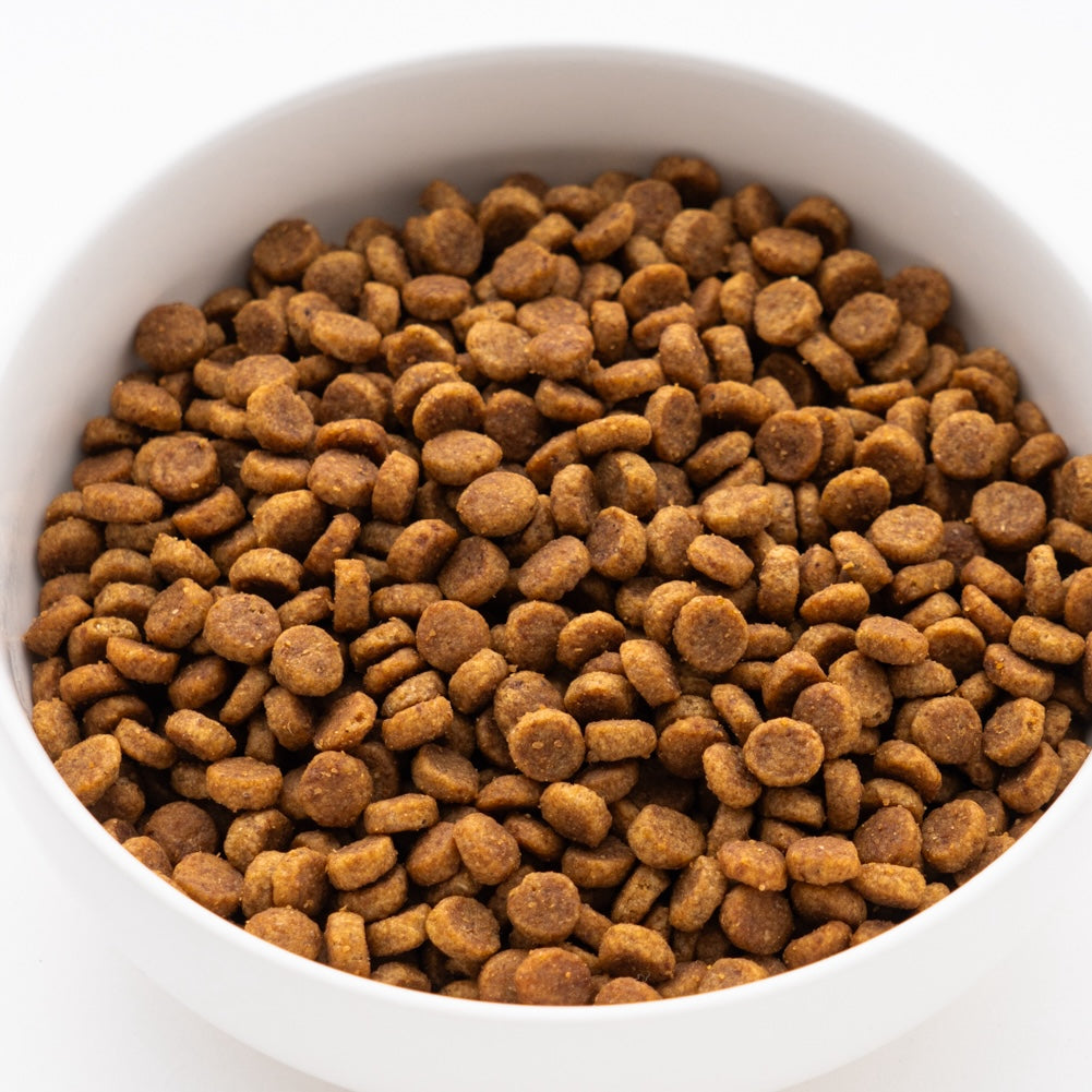 サイエンス・ダイエット 小型犬用 アダルト 成犬用 750g