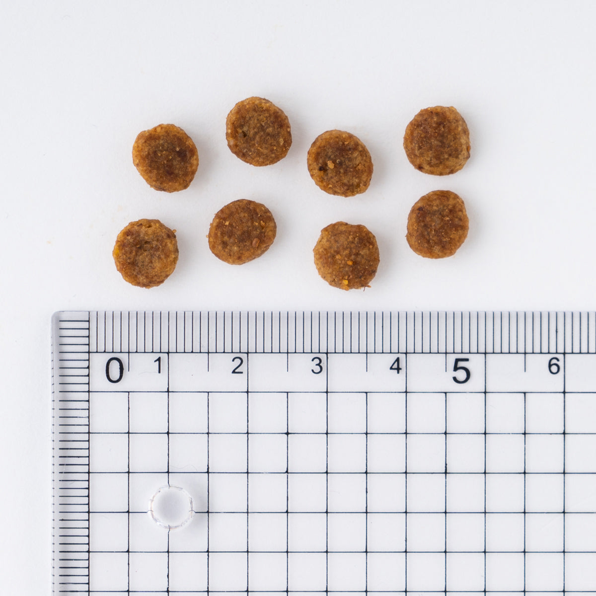 サイエンス・ダイエット 小型犬用 アダルト 成犬用 750g