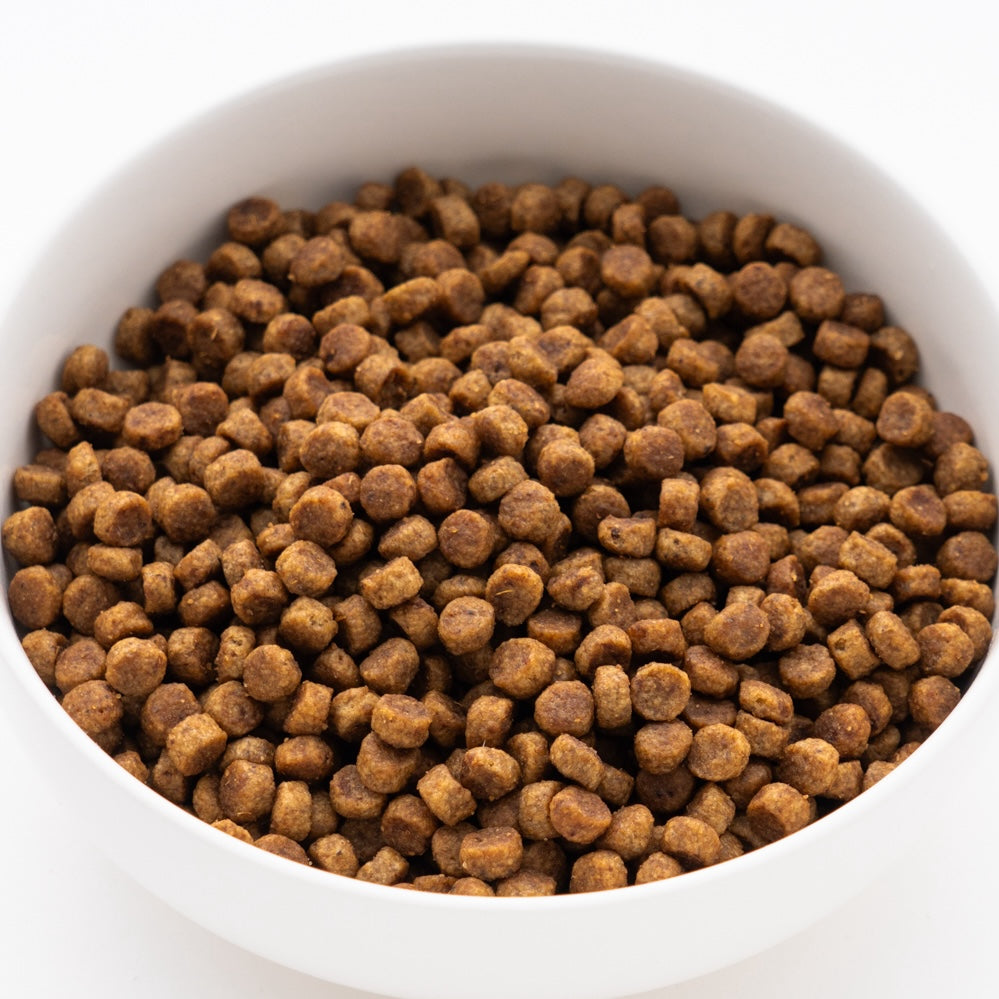 サイエンス・ダイエット 小型犬用 シニア 高齢犬用 750g