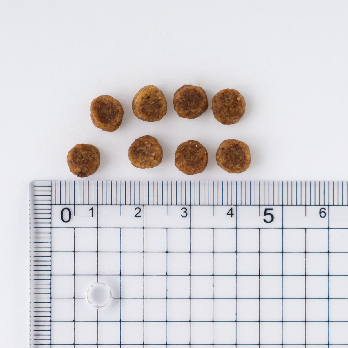 サイエンス・ダイエット シニア 小型犬用 高齢犬用 5kg