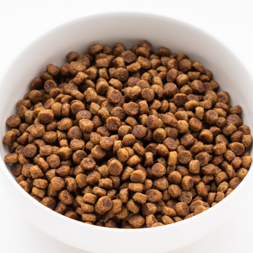 サイエンス・ダイエット 小型犬用 シニアプラス 高齢犬用 750g