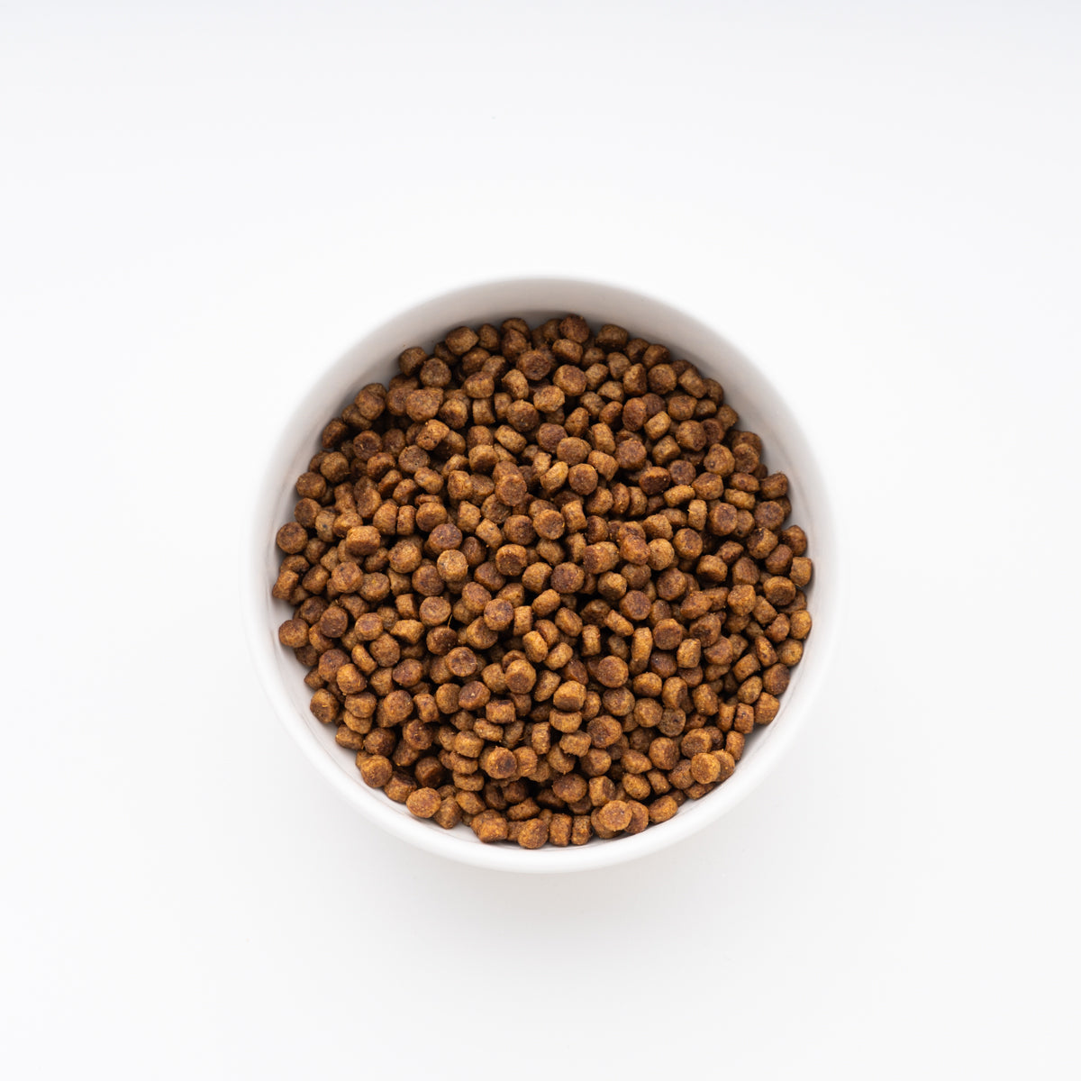 サイエンス・ダイエット 小型犬用 シニアプラス 高齢犬用 750g