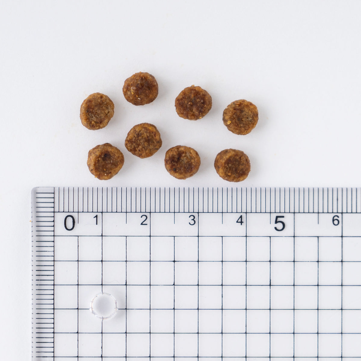 サイエンス・ダイエット 小型犬 シニアプラス 3kg