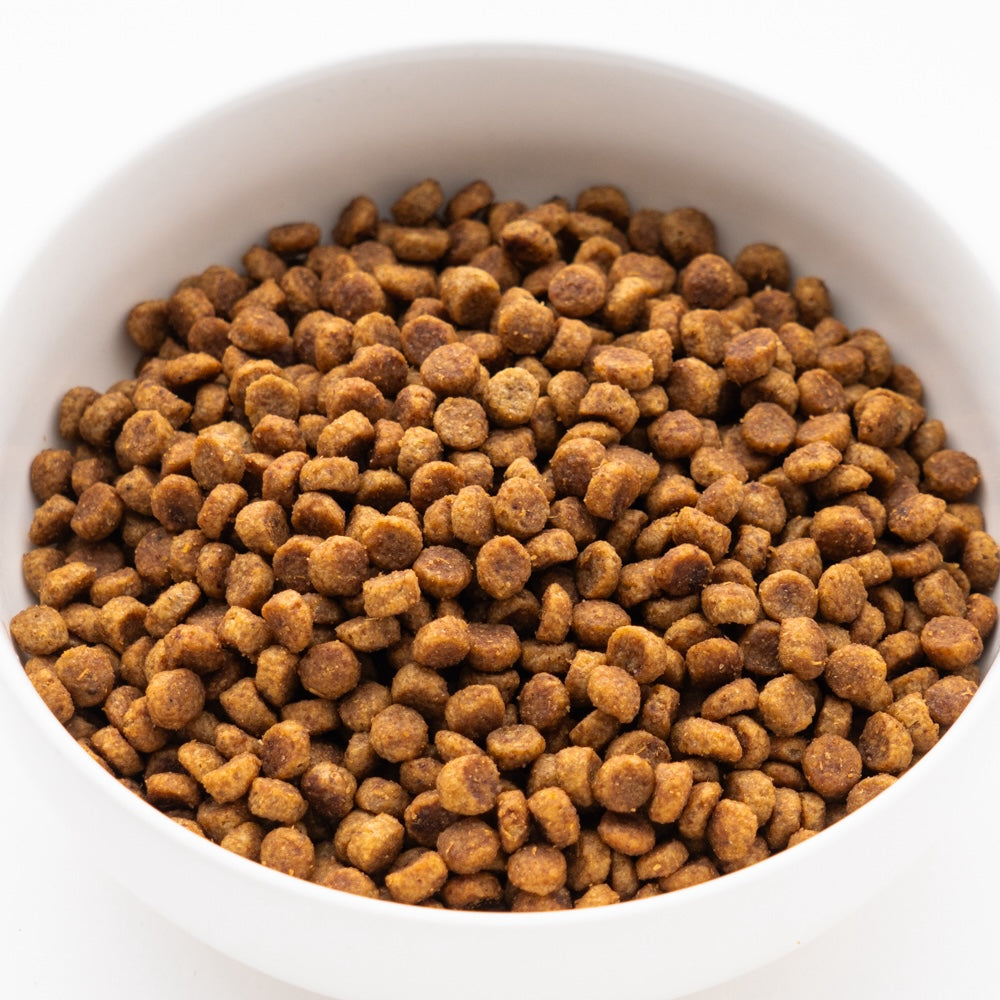 サイエンス・ダイエット 小型犬用 シニアアドバンスド 高齢犬用 750g