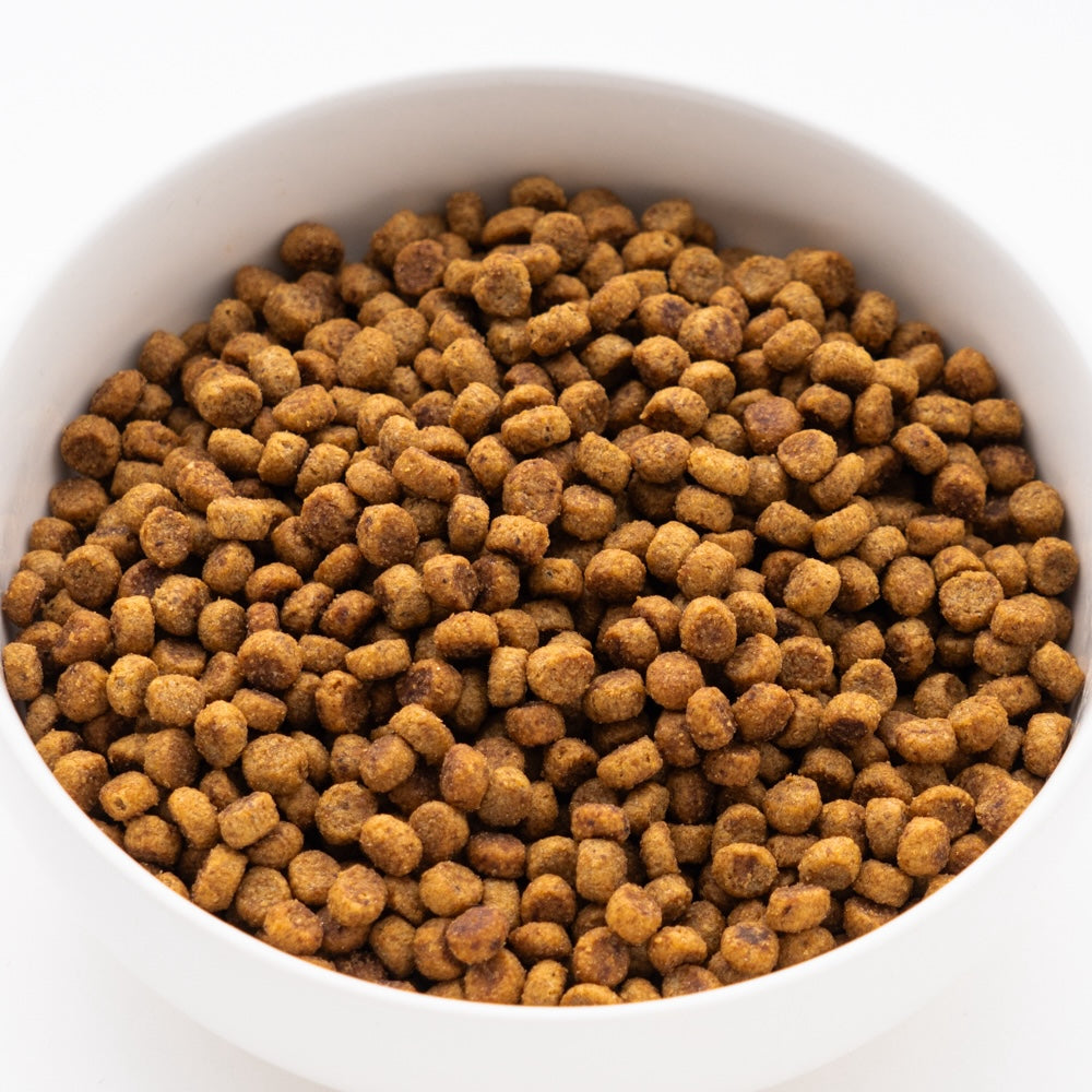 サイエンス・ダイエット 小型犬 ライト 3kg