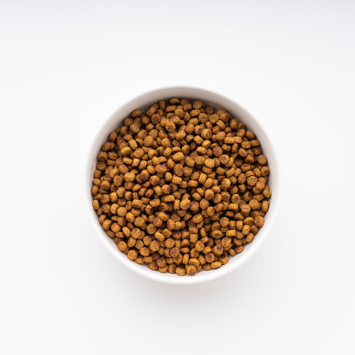 サイエンス・ダイエット ライト 小型犬用 肥満傾向の成犬用 5kg