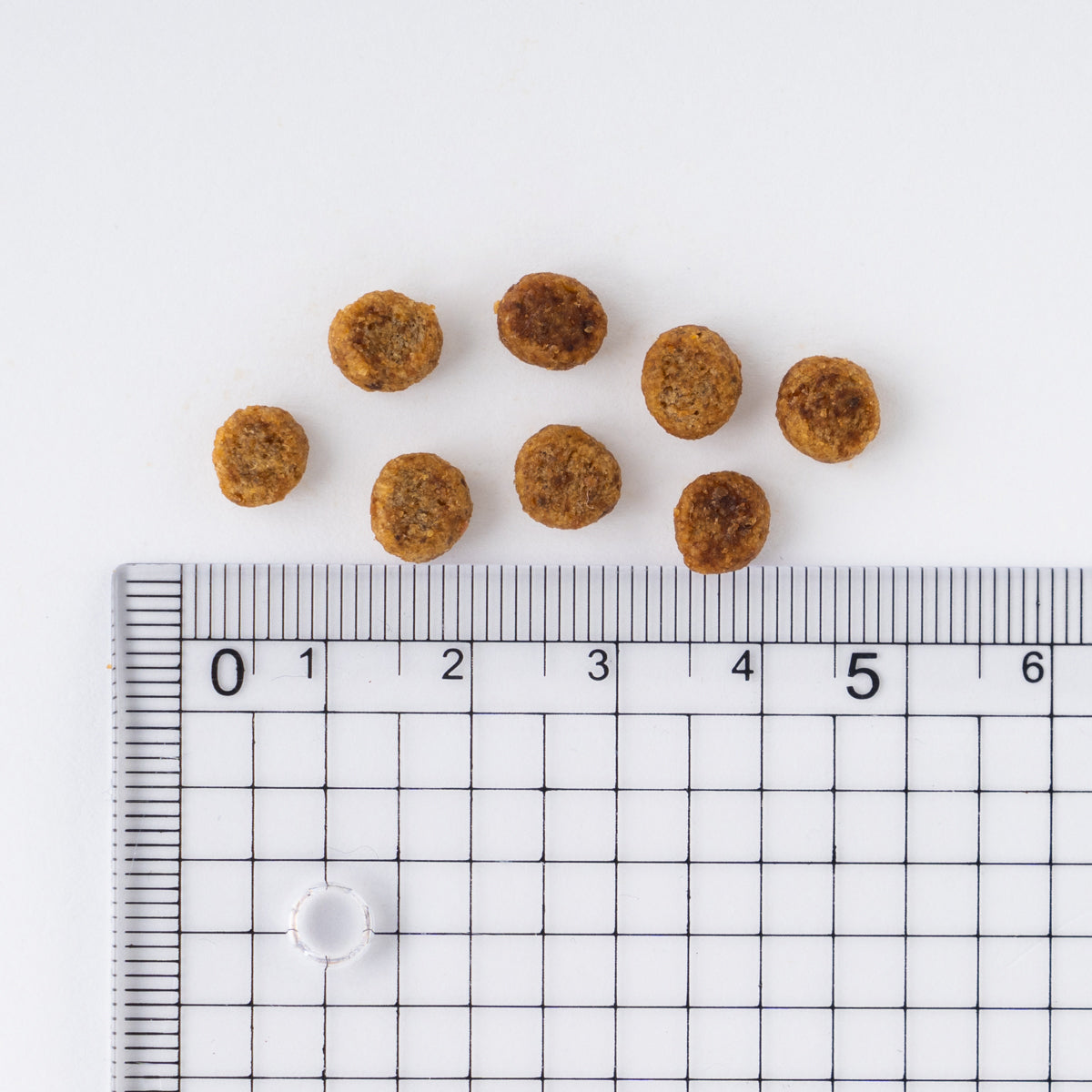 サイエンス・ダイエット ライト 小型犬用 肥満傾向の成犬用 5kg