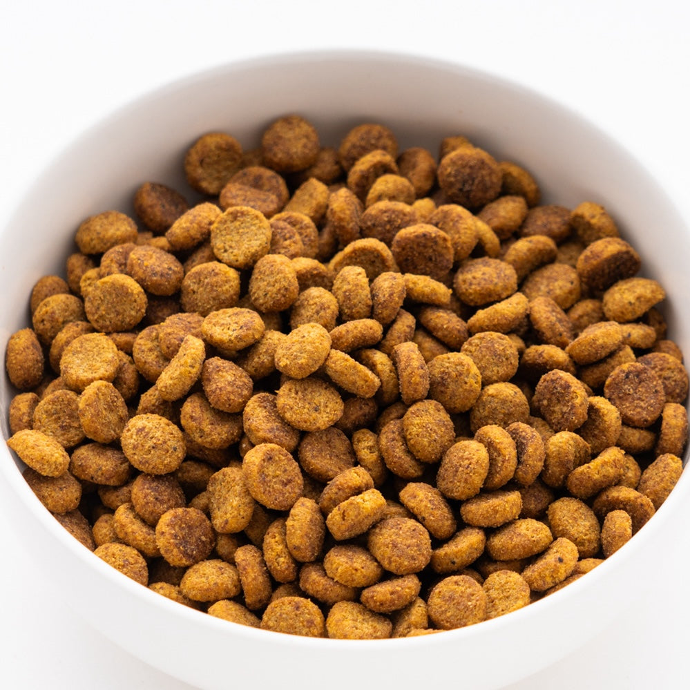 サイエンス・ダイエット 減量サポート 1歳以上/避妊・去勢後にも 中粒 中型犬用 2.5kg