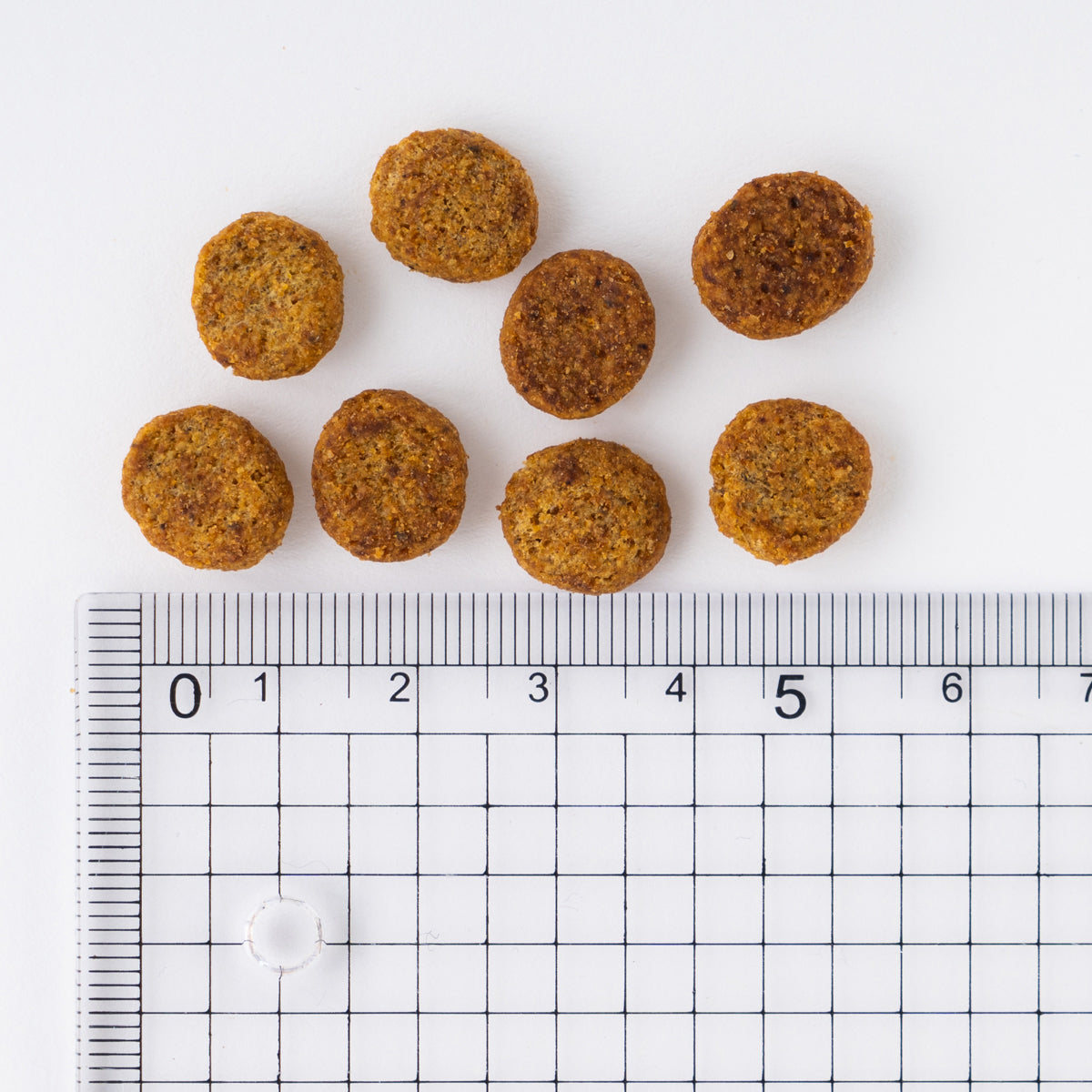 サイエンス・ダイエット 減量サポート 1歳以上/避妊・去勢後にも 中粒 中型犬用 2.5kg