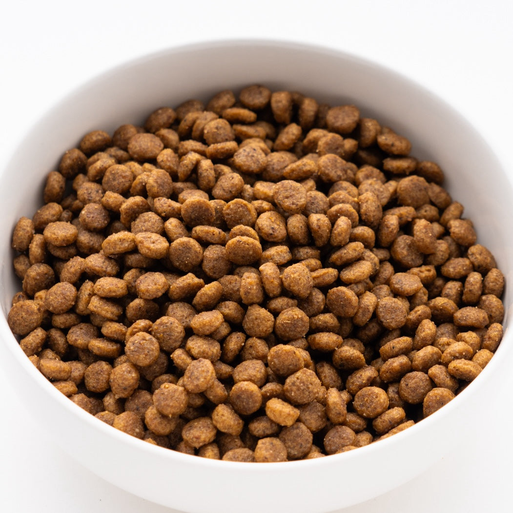 サイエンス・ダイエットPRO 犬用関節サポート機能 小粒 7歳以上1.6kg