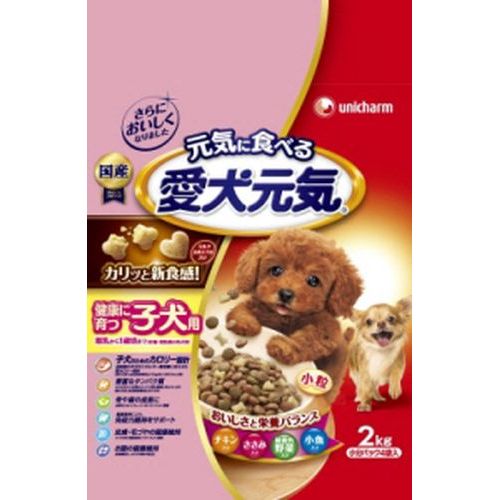 ONLINE STORE