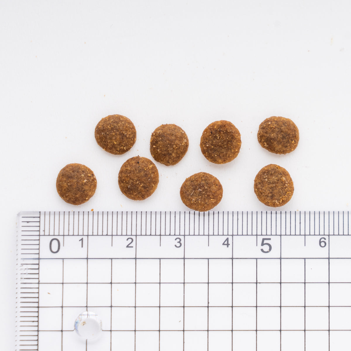 CIAO すごい乳酸菌クランキー 子ねこ用 まぐろ節ミックス味 260g