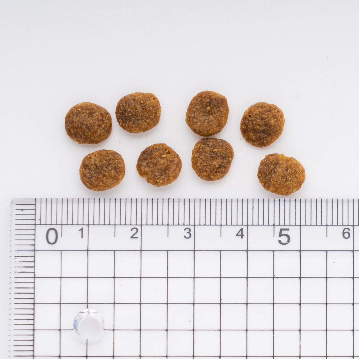 JPスタイル 和の究み 猫用 セレクトHC 腎臓ガード かつお 200g