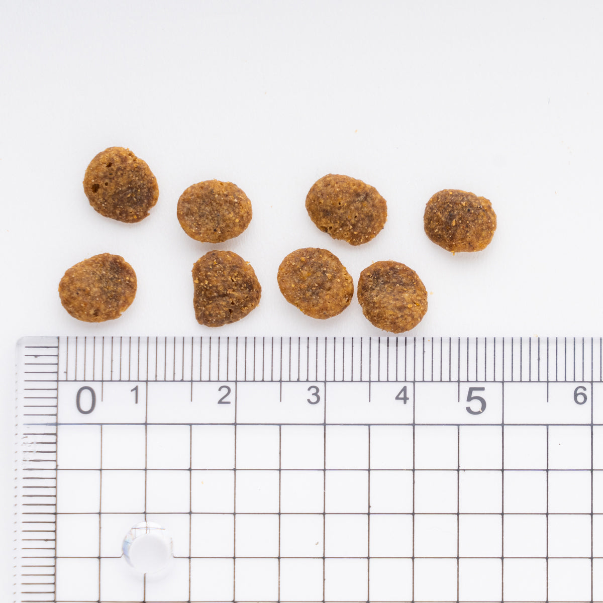 JPスタイル 和の究み 猫用 セレクトHC 腎臓ガード チキン 200g