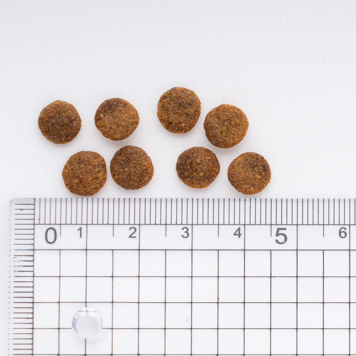 JPスタイル 和の究み 猫用 セレクトHC お腹ガード 200g