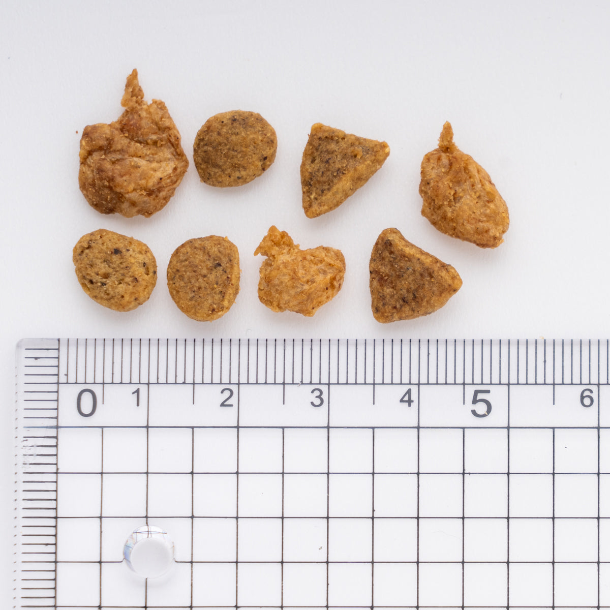 ピュリナワン キャット 1歳から全ての年齢に グレインフリー（穀物不使用）チキン 1.6kg