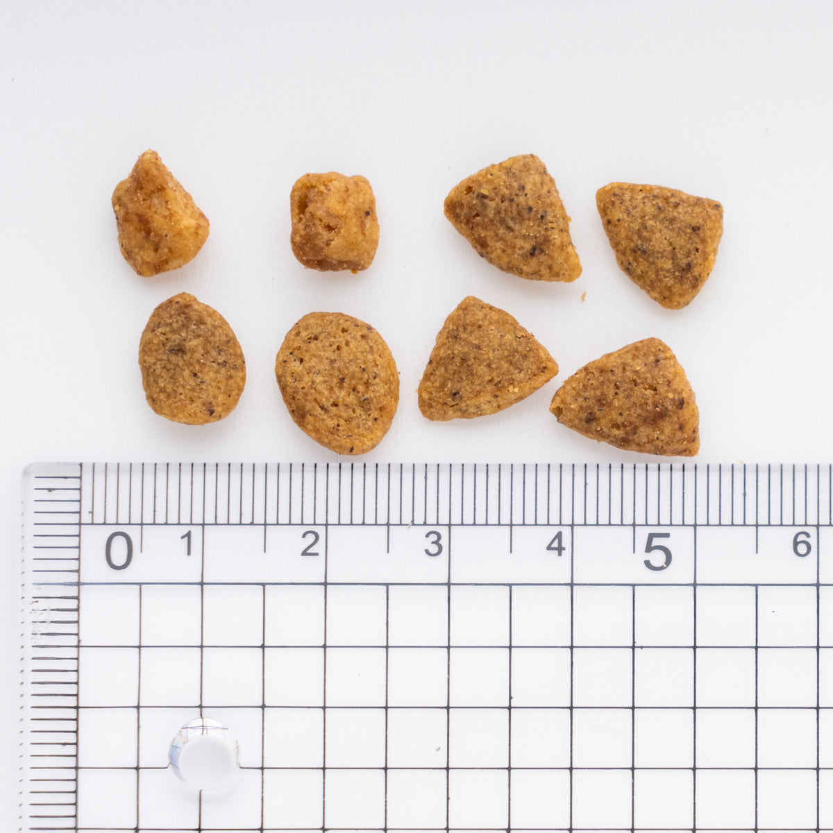 ピュリナワン キャット 1歳から全ての年齢に グレインフリー（穀物不使用）白身魚 1.6kg