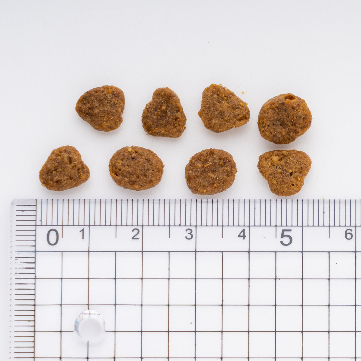 ピュリナワン キャット 11歳以上 健康マルチケア チキン 2kg