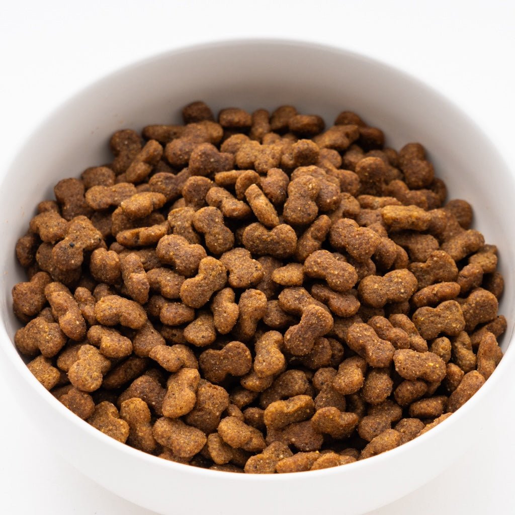 プロマネージ 成犬用 ミニチュアダックスフンド専用 4kg