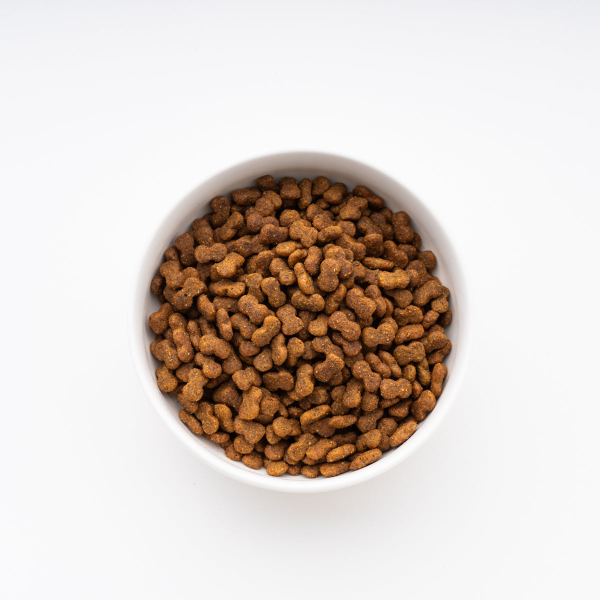 プロマネージ 成犬用 ミニチュアダックスフンド専用 4kg