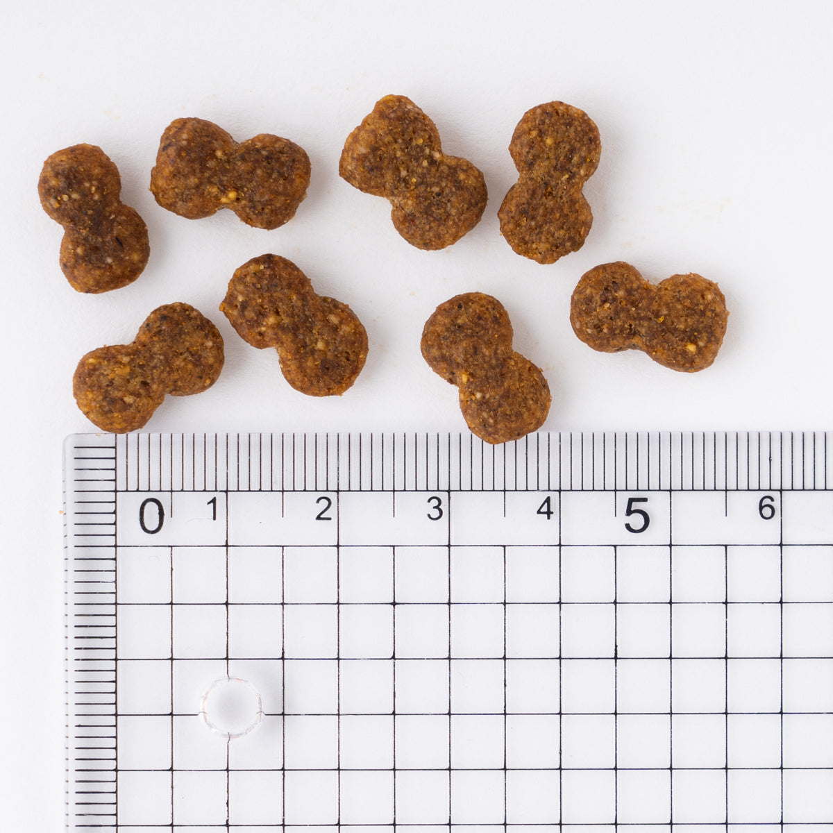 プロマネージ 成犬用 ミニチュアダックスフンド専用 4kg