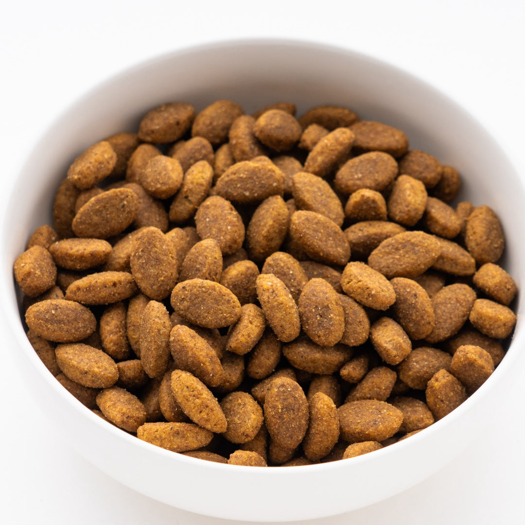 プロマネージ 成犬用 ウェルシュ・コーギー・ペンブローク専用 4kg